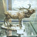 255 3261 Skulptur
